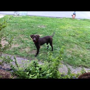 Meet your Posher, Claude